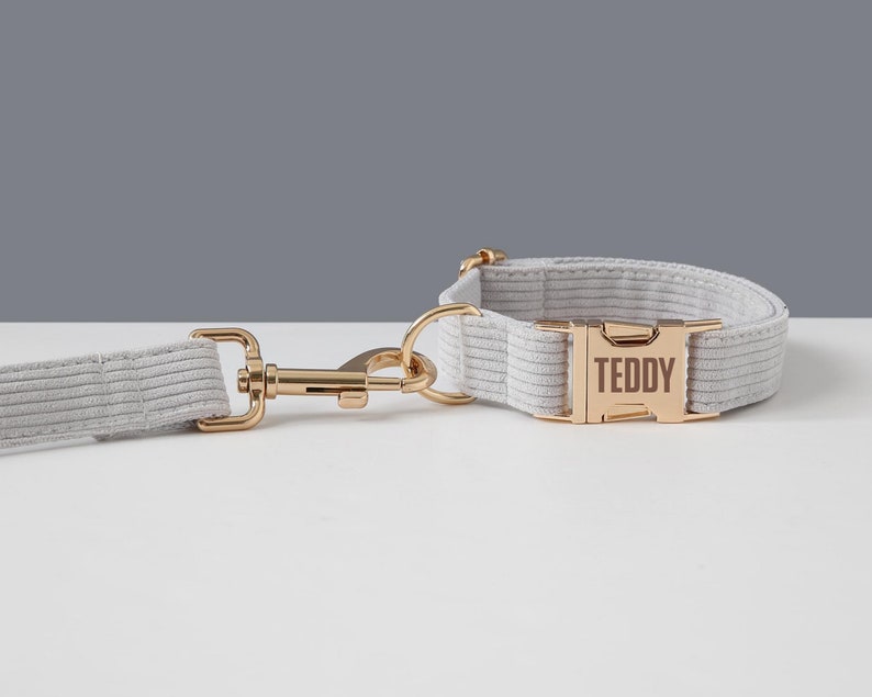 May include: A light gray corduroy dog collar and leash set. The collar features a gold-colored metal buckle engraved with the name "TEDDY". The leash has a matching gold-colored metal clasp.