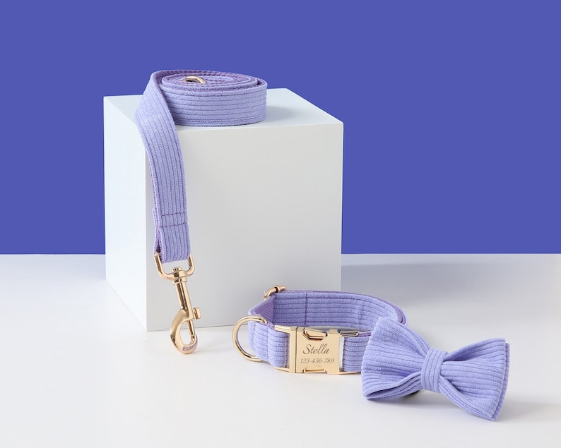 May include: A lavender corduroy dog collar and matching leash with a gold buckle and a personalized name tag that reads "Stella 123-456-789".