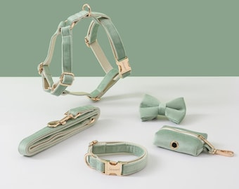 Sage Green Personalisiertes Hundegeschirr und Leinen Set, Benutzerdefinierte Samt Hundegeschirr Halsband Bogen Poo Taschenhalter, kein Zuggeschirr für Jungen-Welpen