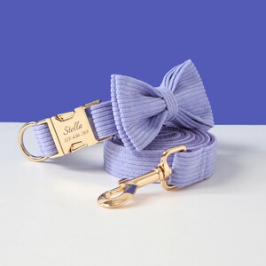 May include: A lavender corduroy dog collar and leash set with a gold buckle and bow tie. The collar has the name "Stella" and phone number "123-456-789" engraved on the buckle.