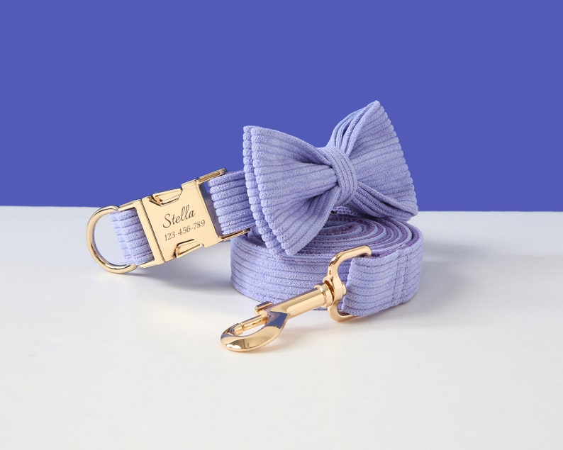May include: A lavender corduroy dog collar and leash set with a gold buckle and bow tie. The collar has the name "Stella" and phone number "123-456-789" engraved on the buckle.