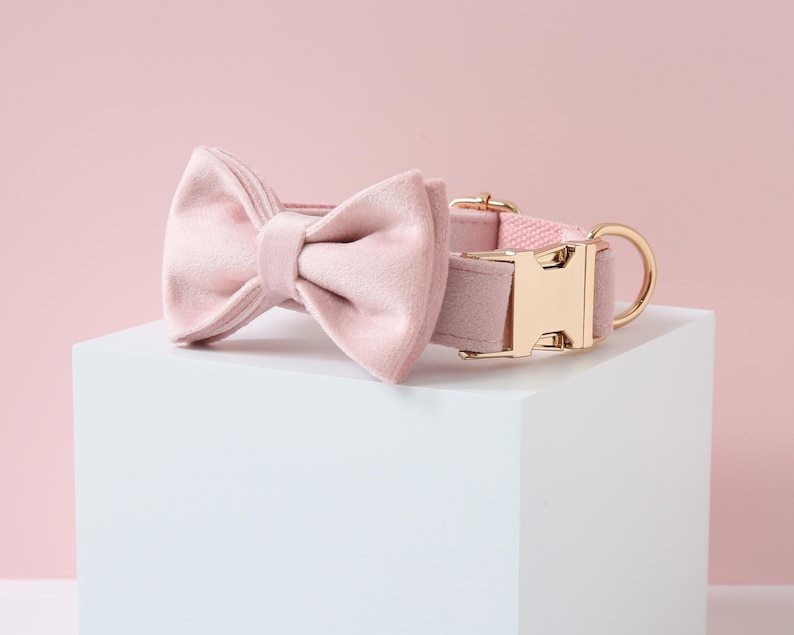 May include: A pink velvet bow tie collar for a pet. The collar is made of a soft, pink velvet material and has a gold metal buckle. The bow tie is attached to the collar and is also made of pink velvet.