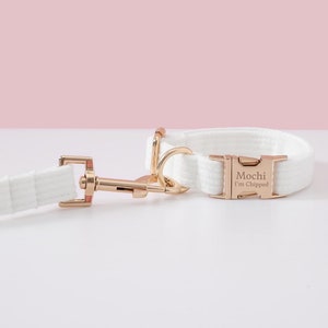 May include: A white dog collar and leash set with rose gold hardware. The collar has the name "Mochi" and the text "I'm Chipped" engraved on the buckle. The leash and collar are made of a woven material.