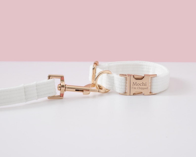 May include: A white dog collar and leash set with rose gold hardware. The collar has the name "Mochi" and the text "I'm Chipped" engraved on the buckle. The leash and collar are made of a woven material.