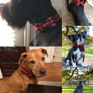 May include: Four dogs wearing red and black plaid bow ties. The dogs are different breeds and sizes. The dogs are all looking at the camera.