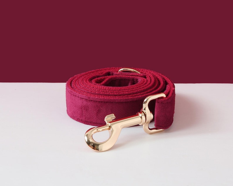May include: Burgundy velvet dog leash with a gold metal clasp.