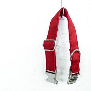 Op de afbeelding: Rode fluwelen hondenhalsband met zilveren beslag. De halsband hangt aan een haak.