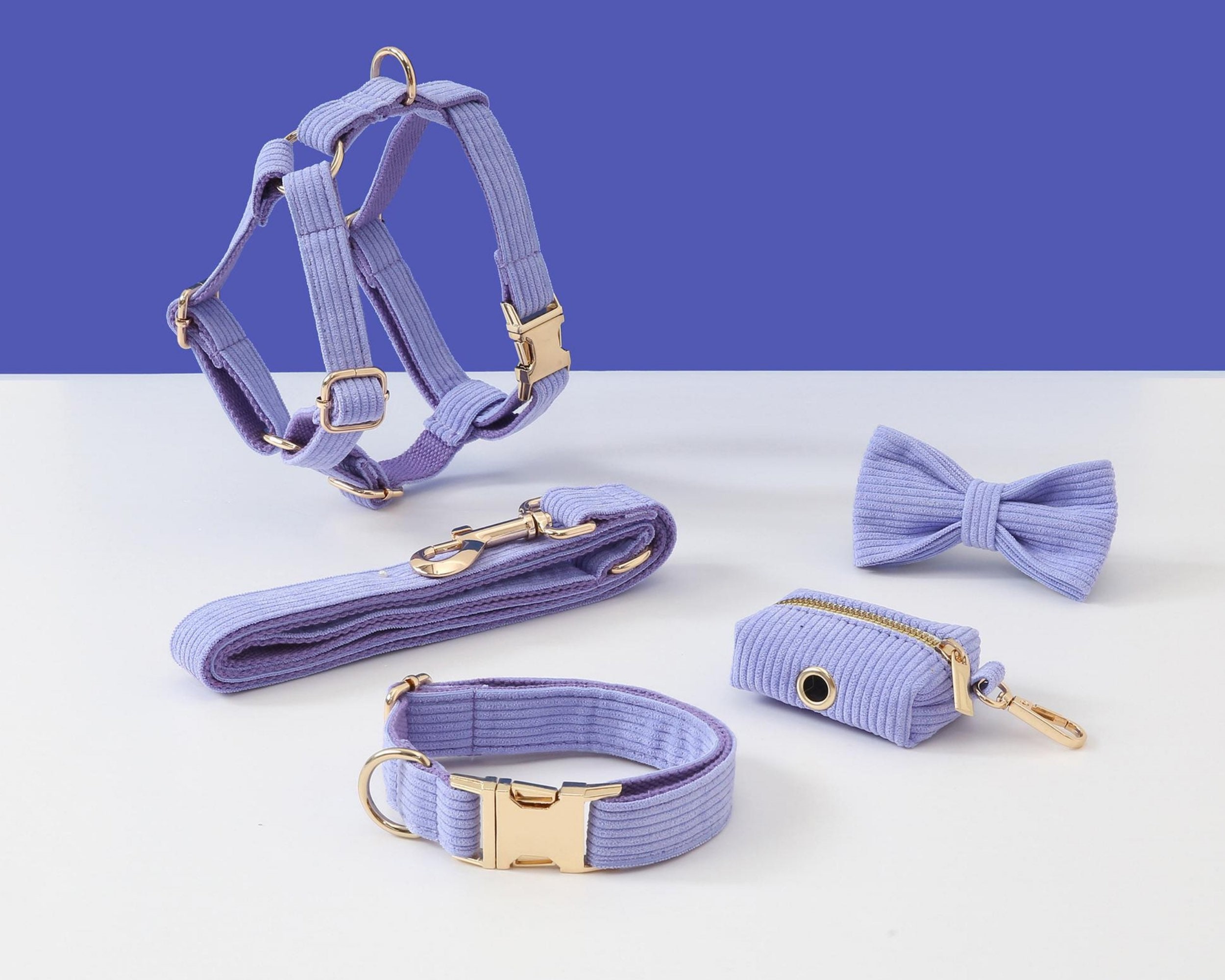 Cute dog collars and harnesses sale