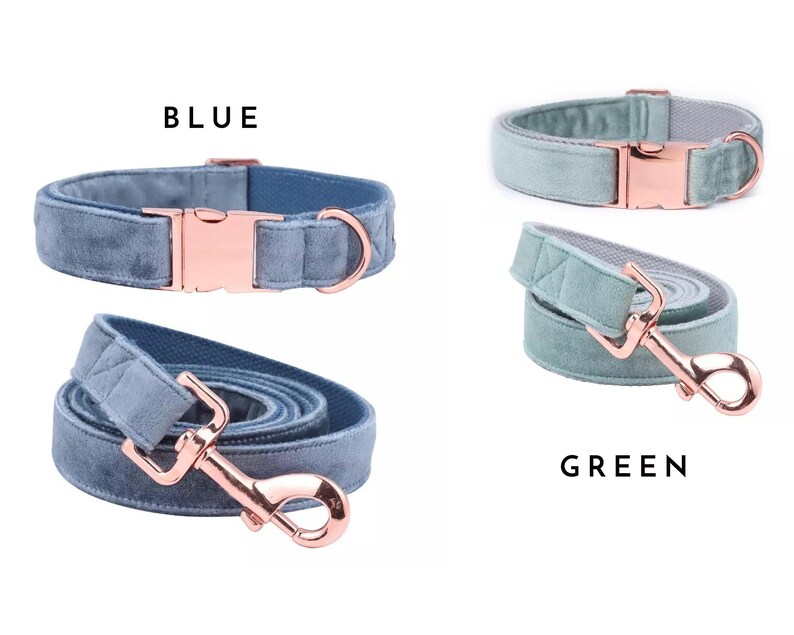 Green Dog Collar and Lead Designer Dog Collar Girl Dog Etsy