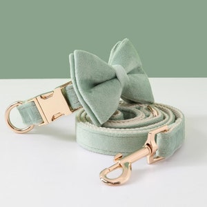 May include: A sage green velvet dog collar and matching bow tie with a gold buckle and clasp.