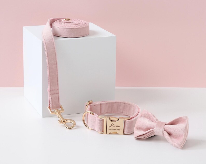 May include: Pink velvet dog collar and leash set with a gold buckle and bow tie. The collar has the name "Luna" and a phone number engraved on the buckle.