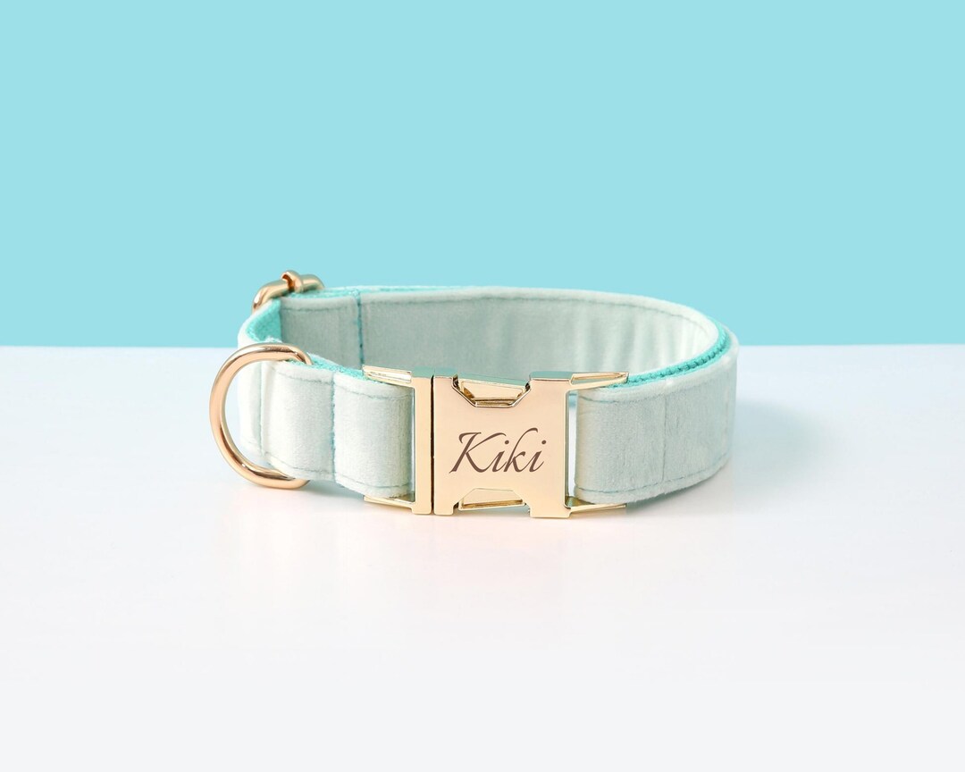 Blue Customized Dog Collar Set, Velvet Personalised Dog Collar With ...
