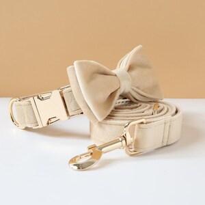 Beige Velvet Dog Collar With Bow Lead Personalized Name - Etsy