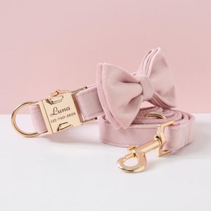 May include: Pink velvet dog collar and leash set with a gold bow tie and personalized name tag. The name tag reads "Luna 132-740-3898".