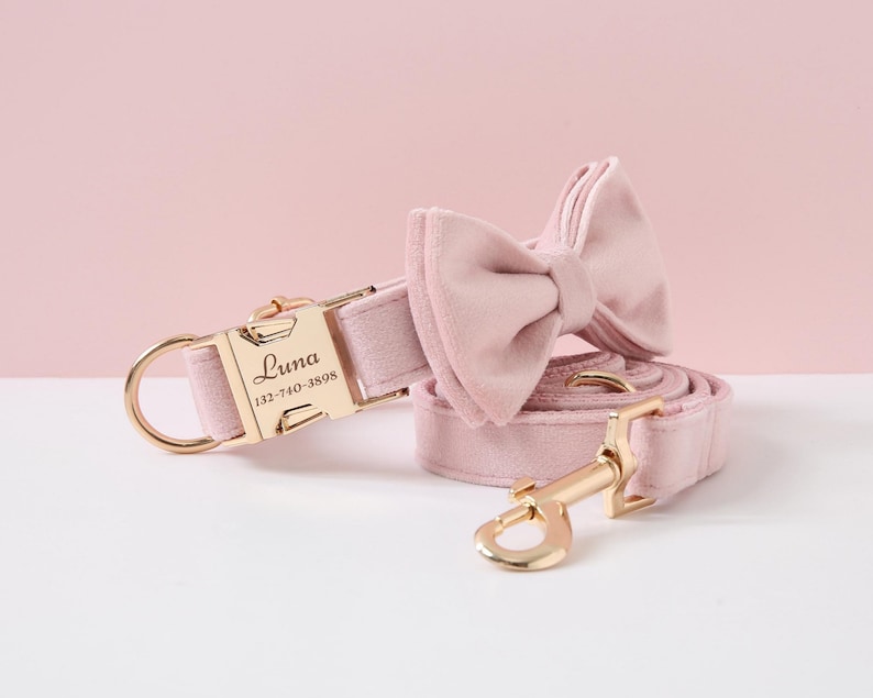 May include: Pink velvet dog collar and leash set with a gold bow tie and personalized name tag. The name tag reads "Luna 132-740-3898".