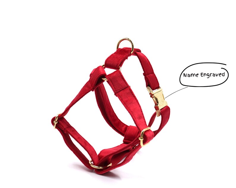 Personalized Step in Dog Harness and Leash Set Red Custom Etsy