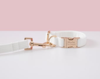 Könnte beinhalten: Weißes Hundehalsband mit goldener Schnalle und einem personalisierten Namensschild mit der Aufschrift "Mochi I'm Chipped".