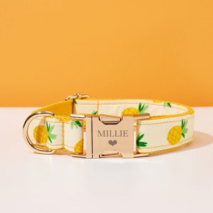 Zomer Fruit Halsband Leash Bow Volledige Set, Gepersonaliseerde Ananas Halsband met gegraveerde naam, Kleine Jongen Puppy Halsband, Zomer Halsband Leash