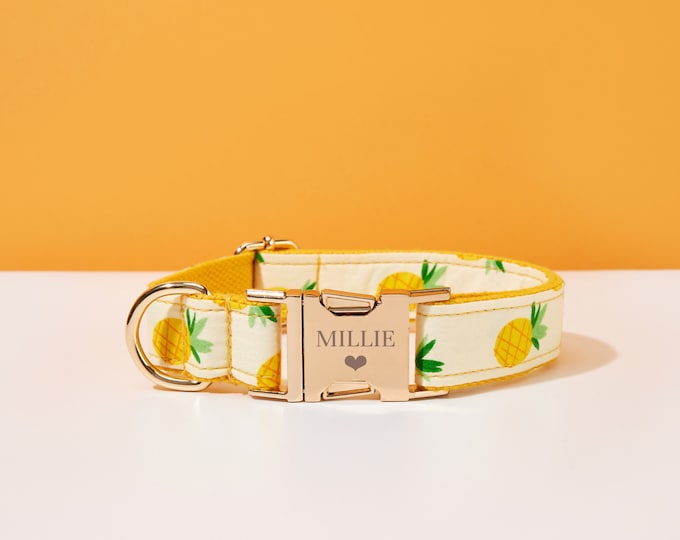 Pineapple Dog Collar, Leash or Harness With Personalized Metal Buckle