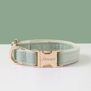May include: A light green velvet dog collar with a gold metal buckle engraved with the name "Stewart".