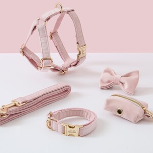 May include: A pink velvet dog harness, leash, collar, bow tie, and poop bag holder with gold hardware. The collar and harness have the name "Bella" engraved on the buckle.