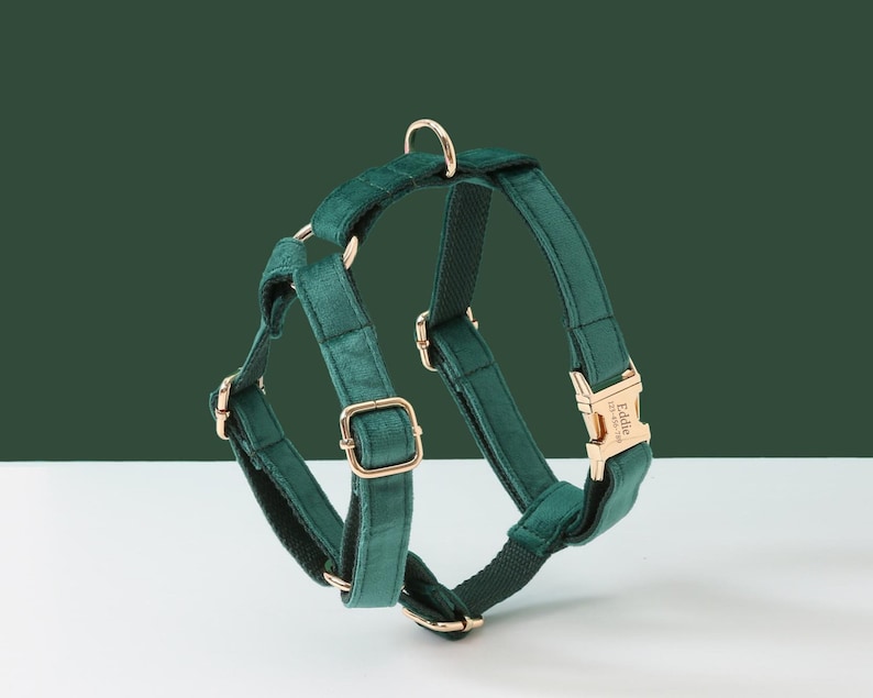 Personalized Dog Harness and Leash Set Green Custom Velvet Etsy