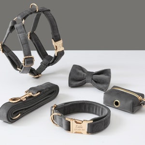 Personalized Dog Harness and Leash Set Gray Velvet Dog Harness Collar Bow Tie Poo Bag Holder no Pull Harness for Boy Puppy Etsy Canada