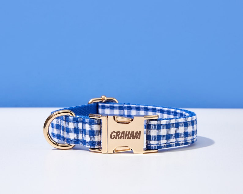 Puede incluir: Collar de perro de gingham azul y blanco con una hebilla dorada que dice "GRAHAM".