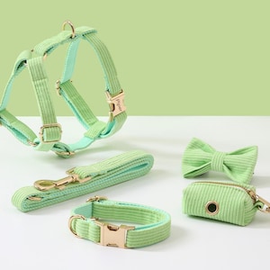Personalized Dog Harness and Leash Set,Fluorescent Green Corduroy Velvet Dog Harness Collar Bow tie Poo Bag Holder,No Pull Harness for Puppy