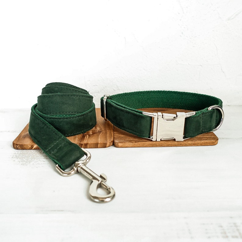 May include: A dark green velvet dog collar and matching leash with a silver buckle. The collar and leash are laid out on a wooden surface.