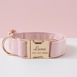 May include: Pink velvet dog collar with a gold buckle. The buckle is engraved with the name "Luna" and the phone number "132-740-3898".