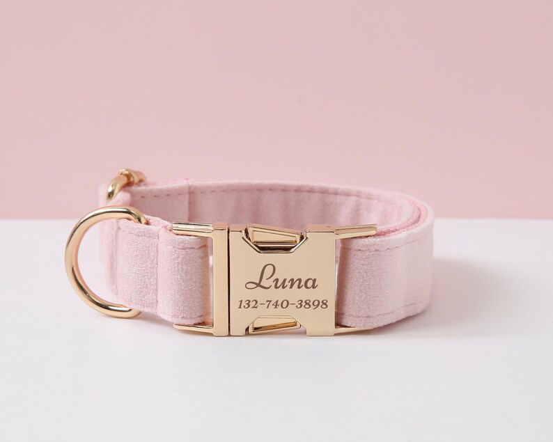 May include: Pink velvet dog collar with a gold buckle. The buckle is engraved with the name "Luna" and the phone number "132-740-3898".