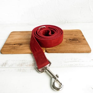 Op de afbeelding: Een rode hondenriem met een zilveren clip. De riem is opgerold op een houten oppervlak.