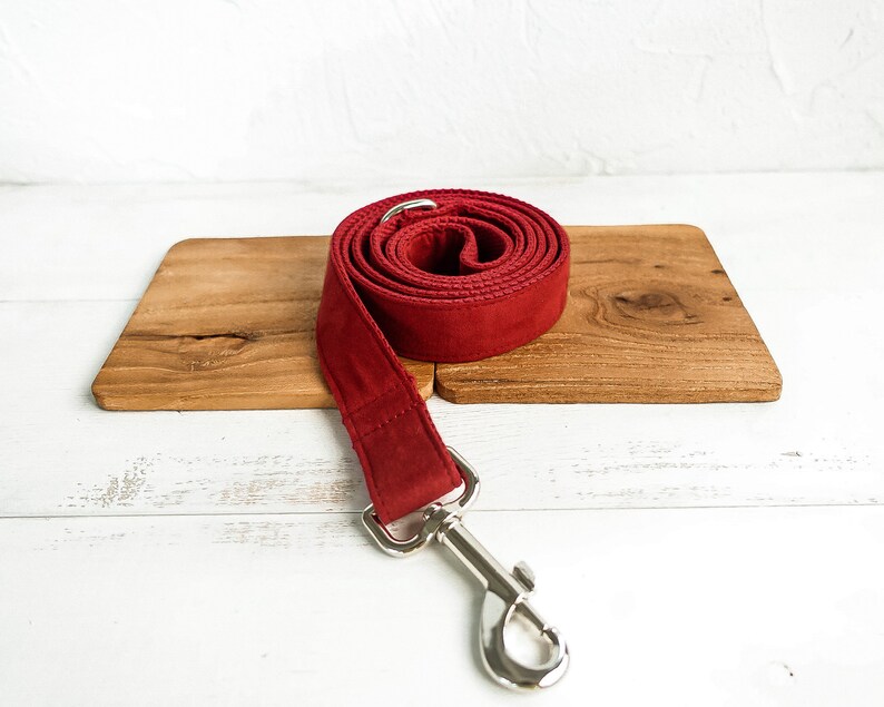 Op de afbeelding: Een rode hondenriem met een zilveren clip. De riem is opgerold op een houten oppervlak.