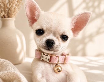 Personalized Velvet Dog Collar with Name, Gift for Dog Mom