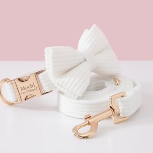 May include: A white dog collar, leash, and bow tie set. The collar has a gold-colored buckle with the name "Mochi" and the text "I'm Chipped" engraved. The leash and bow tie are made of a matching white corduroy fabric.