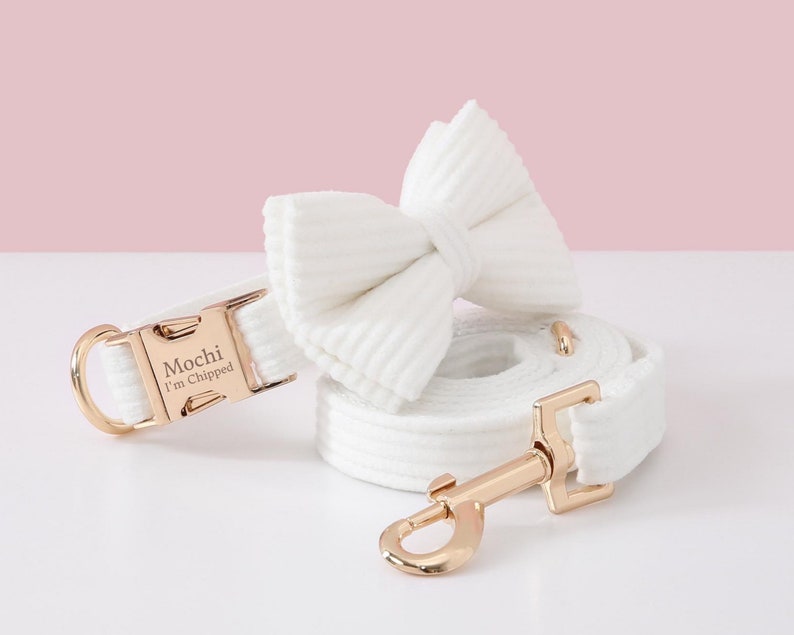 May include: A white dog collar, leash, and bow tie set. The collar has a gold-colored buckle with the name "Mochi" and the text "I'm Chipped" engraved. The leash and bow tie are made of a matching white corduroy fabric.