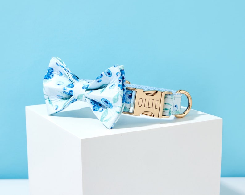 May include: A white and blue floral dog collar with a gold buckle that says "OLLIE". The collar is paired with a matching bow tie.