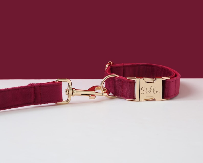 May include: Burgundy velvet dog collar and leash set with a gold buckle engraved with the name "Stella".
