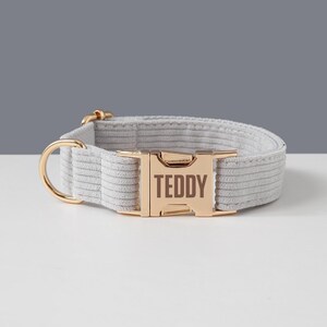 May include: A light gray dog collar with a gold-colored buckle and hardware. The buckle is engraved with the name "TEDDY". The collar is made of a soft, ribbed material.