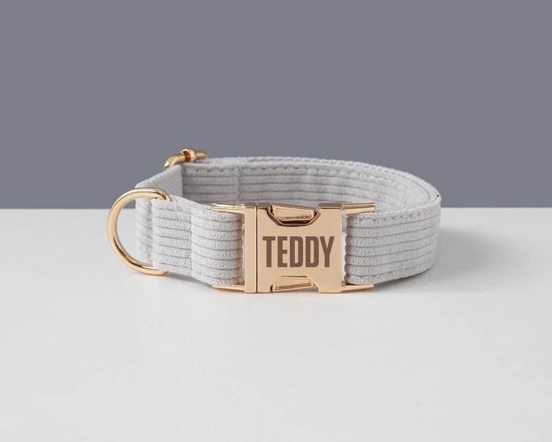 May include: A light gray dog collar with a gold-colored buckle and hardware. The buckle is engraved with the name "TEDDY". The collar is made of a soft, ribbed material.