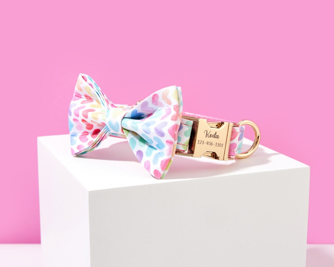 Cute Dog Collar and Leash Set, Personalized Pet Name ID Engraved on