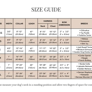 Personalisiertes Hundehalsband und Leine-Set, Hochzeit Hundehalsband und Geschirr, kein Zuggeschirr für Jungen-Welpen und Mädchen-Hund Bild 11