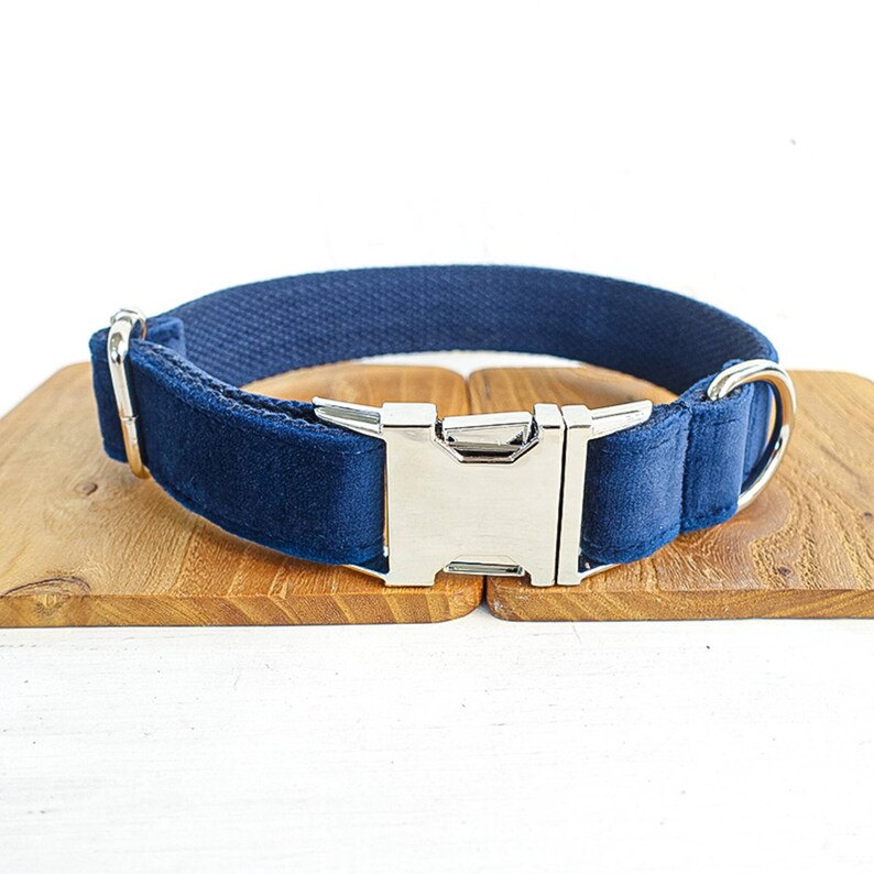 Dog Collar Personalized Engraved Nameplate Collar and Leash Etsy