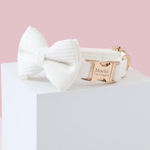 May include: A white corduroy dog collar and matching bow tie set. The collar features a rose gold buckle engraved with "Mochi I'm Chipped." The bow tie is a simple, elegant design. The set is displayed on a white cube against a pink background.