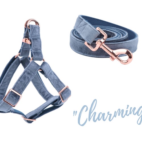 Dog Harness Harness and Leash Set Step in Harness Standard Etsy