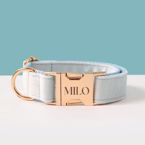 Lichtblauwe halsband en riem strik hondencadeau, fluwelen gepersonaliseerde halsband met naam, aangepaste hondenhalsband en riem voor meisjeshond
