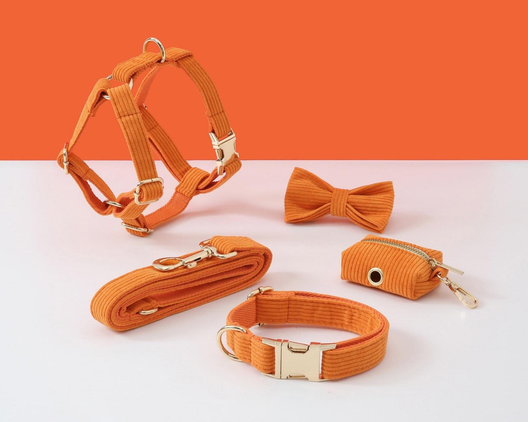 Personalized Dog Harness and Leash Set, Orange Corduroy Velvet Dog