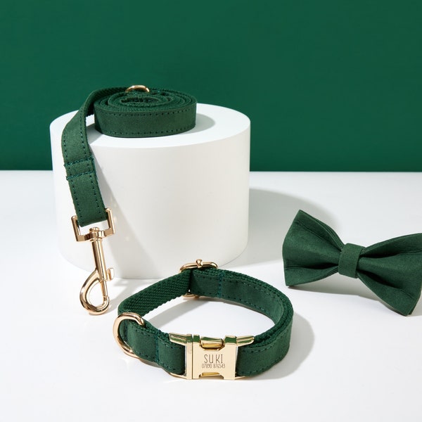 Groene gepersonaliseerde halsband vlinderdasset, halsband voor jongenshond, bruiloft halsband, puppyhalsband en strik, hondenliefhebber cadeau