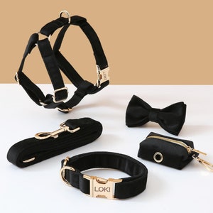 May include: Black velvet dog harness, leash, collar, bow tie, and poop bag holder with gold hardware. The collar and harness have the name "LOKI" engraved on the buckle.